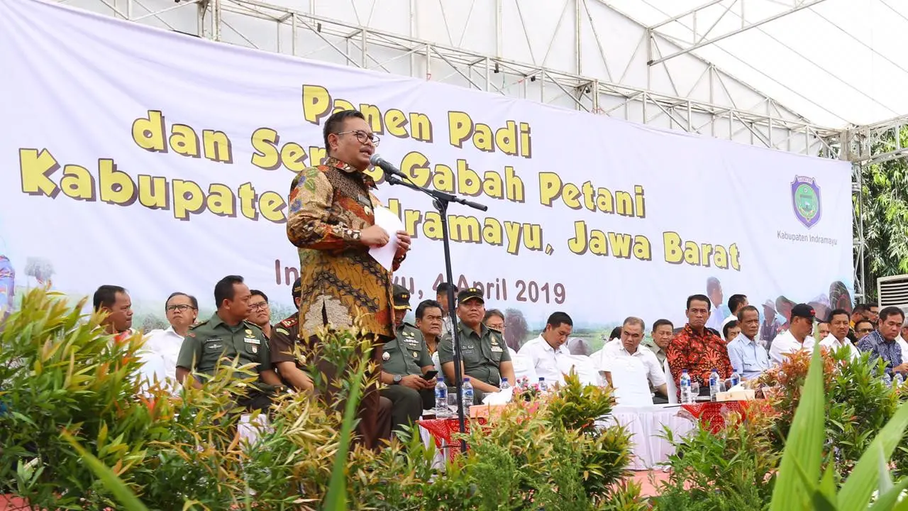 Harga Gabah Kering Panen di Indramayu Sentuh Rp. 3.800, Bulog Diminta Gerak Cepat
