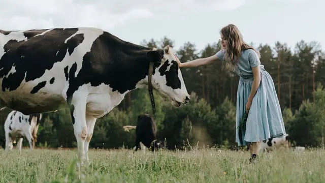 Mimpi Melihat Sapi
