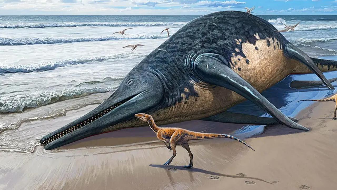 Bocah 11 Tahun Temukan Fosil Reptil Laut Raksasa Zaman Dinosaurus Saat Jalan-jalan di Pantai