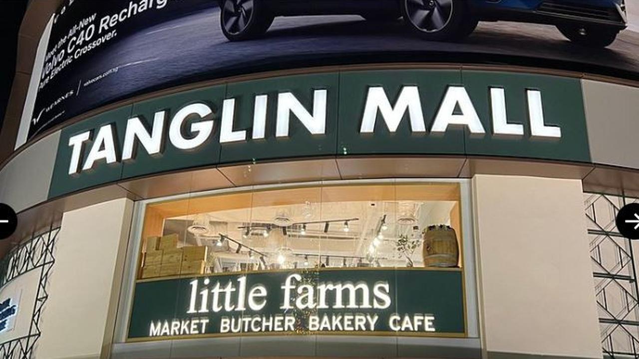 Mengenal Tanglin Mall, Pusat Perbelanjaan Ikonis di Orchard Road Singapura yang Dibeli Miliarder Indonesia Sukanto Tanoto