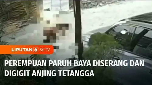 VIDEO: Gigit Wanita Paruh Baya, Anjing Disuntik Mati