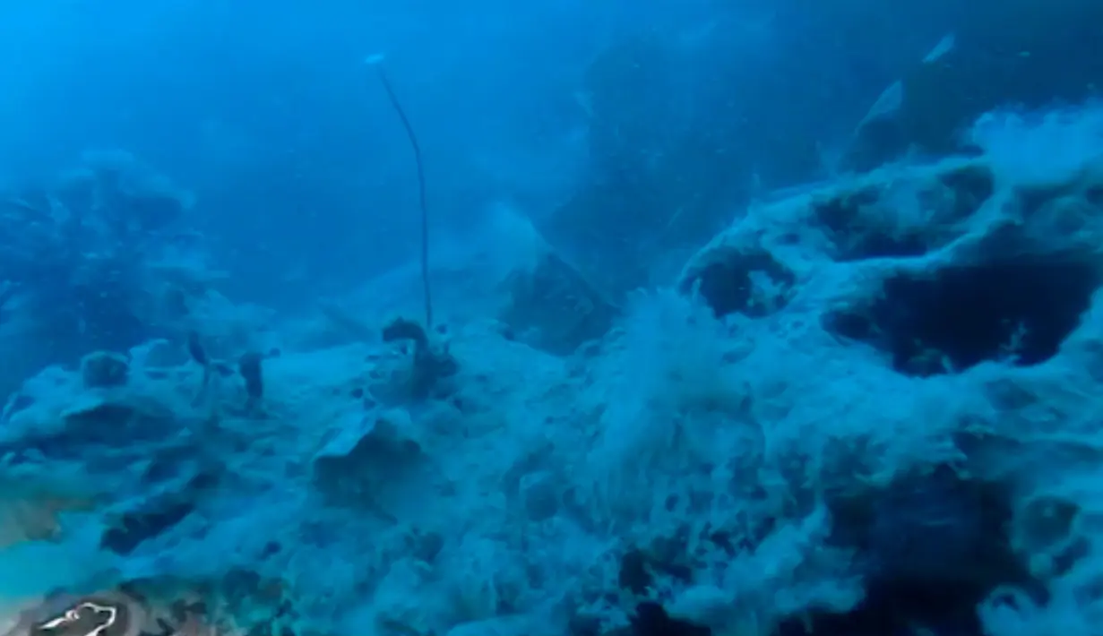 Kondisi puing HMS Terror di perairan Teluk Teror, Kanada (3/9). ). Kapal perang Inggris ini hilang sejak 171 tahun silam. (Courtesy Arctic Research Foundation/Handout via REUTERS)