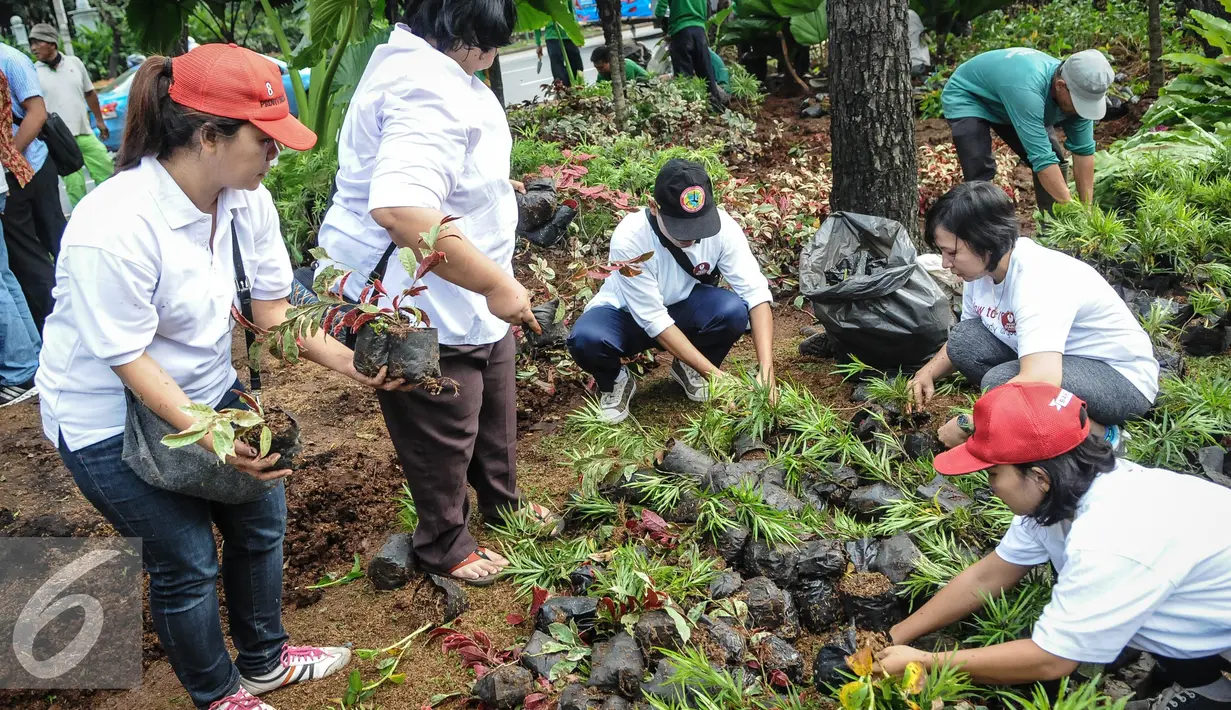 Relawan Ahok-Djarot yang tergabung dalam Dulure Djarot menanam tanaman di depan Balai Kota, Jakarta, Minggu (16/10). Aksi tersebut untuk memperbaiki taman yang rusak akibat demostrasi beberapa waktu lalu.(Liputan6.com/Faizal Fanani)
