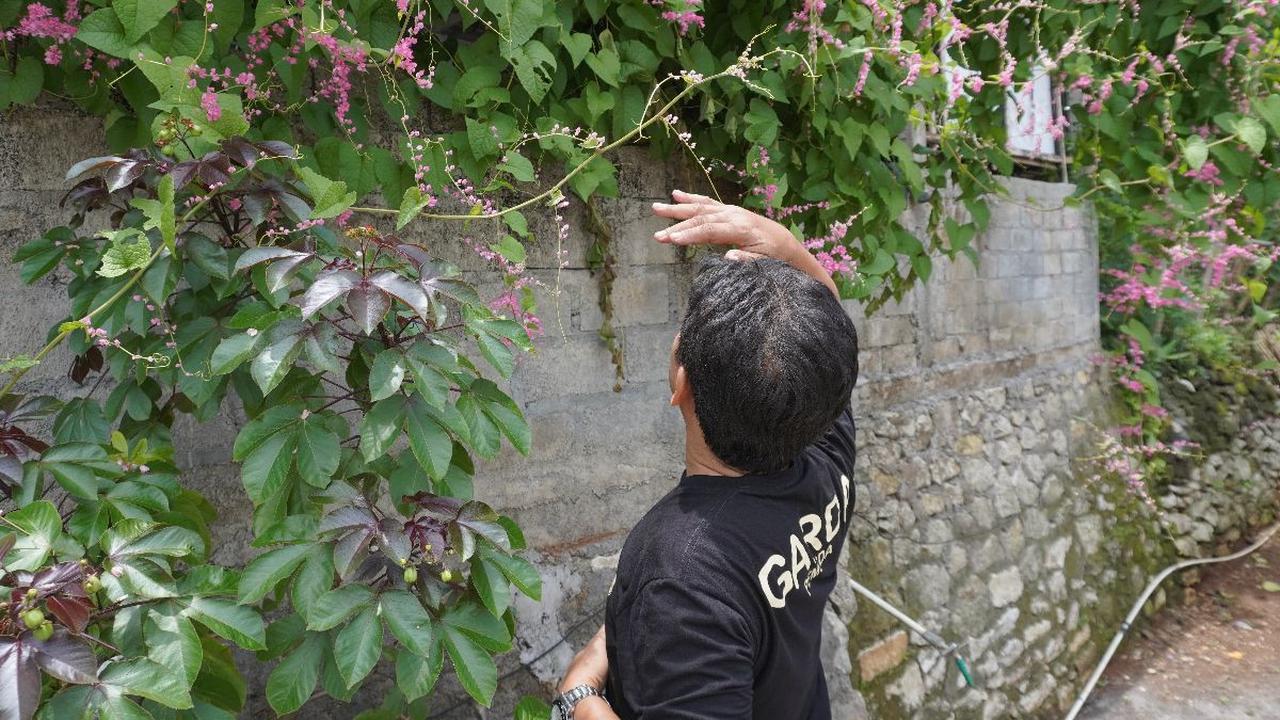 Sisipkan Upaya Penghijauan