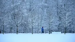 Seorang pria berjalan di depan pohon yang tertutup salju setelah hujan salju lebat di pinggiran Moskow, Rusia pada Selasa (14/12/2021). (Kirill KUDRYAVTSEV / AFP)