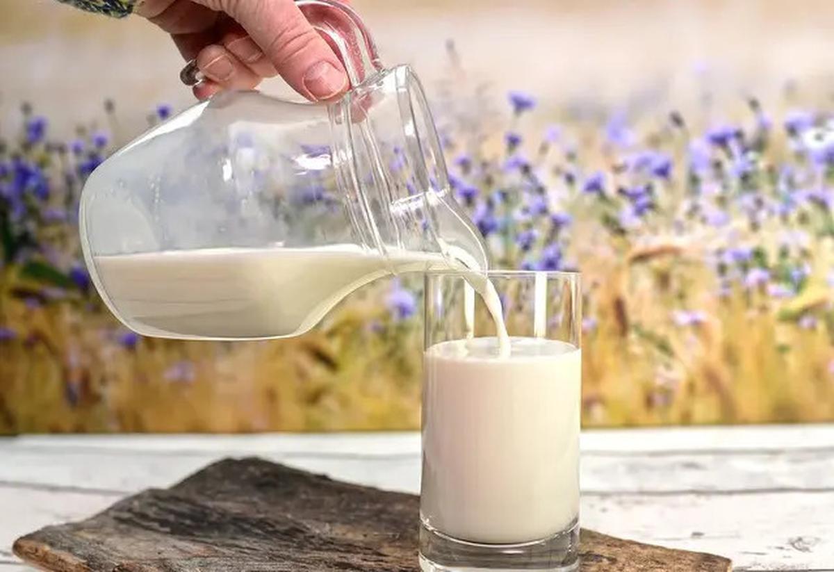 Apakah Benar Bahan Utama Susu Nabati Meningkatkan Risiko Kanker Usus Besar?