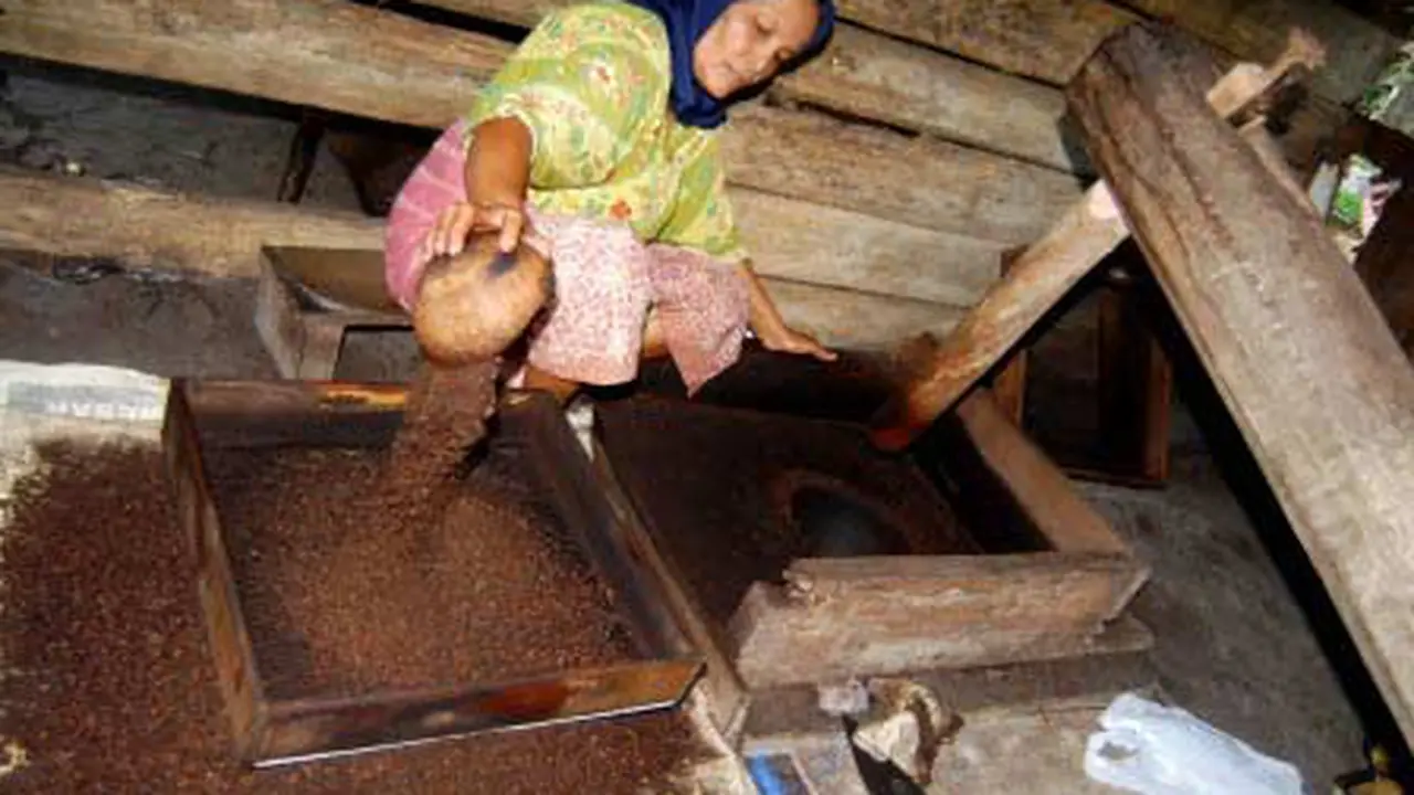 Ngopi Pagi Di Pantai Meulaboh Dan Filosofi Gaya Gelas Terbalik Regional 8084