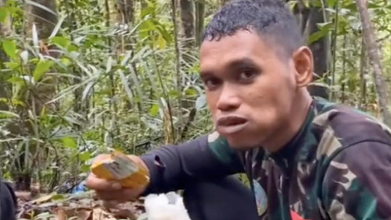 Miris, Makan Siang Aparat TNI sedang Latihan di Hutan Cukup Nasi Putih sama Penyedap