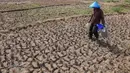 Warga berjalan mengambil air untuk kebutuhan sehari-hari pada kubangan bekas sawah di  kawasan Weninggalih, Jonggol, Jawa Barat, Selasa, 25 Agustus 2026. (KLY/ Arie Basuki)