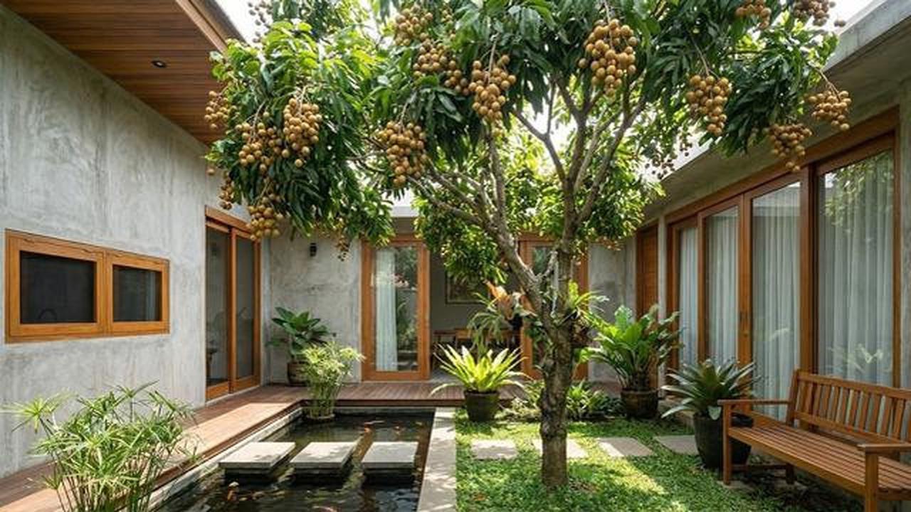 10 Jenis Tanaman Buah yang Cocok Ditanam di Halaman Belakang Rumah