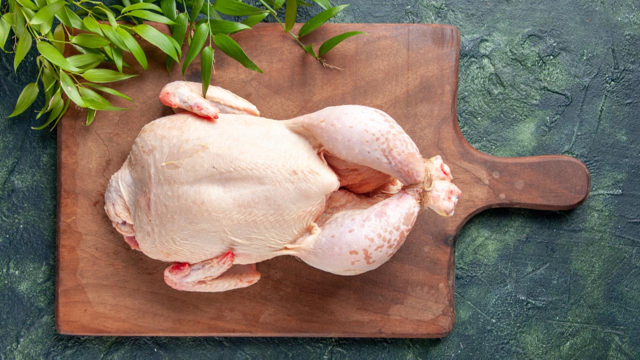 Cara Cepat Mencabut Bulu Ayam Kampung yang Efektif Tanpa Mesin Khusus
