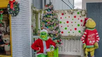 Ahli Anatomi Ungkap Struktur Tubuh Karakter Grinch, Punya Hidung Mirip Anjing hingga Gigi Simpanse