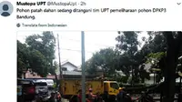 Dua mobil tertimpa pohon tumbang di Jalan LLRE Martadinata, Kota Bandung. Sebelumnya, ibu kota Provinsi Jawa Barat itu dilanda hujan deras disertai angin kencang dan petir. (Screenshot: Twitter/@MustopaUpt)
