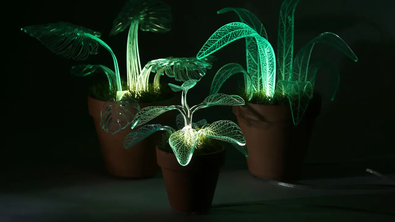 Light Plant