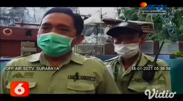 Setelah sempat menjalani karantina 4 bulan usai dilahirkan, bayi lumba-lumba di Taman Safari II Prigen, Pasuruan, Jawa Timur, ini akhirnya diperkenalkan ke khalayak ramai di wahana lumba-lumba.