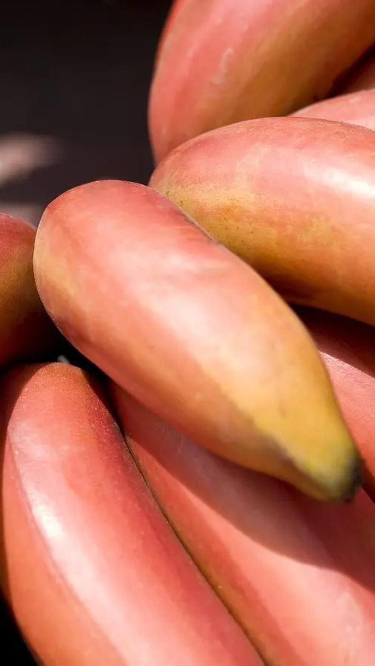 6. Pisang Kulit Merah