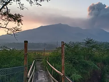 Gunung Marapi memuntahkan abu vulkanik dari kawahnya di Agam, Sumatera Barat, Indonesia, Selasa (5/12/2023). Pihak berwenang Indonesia pada Senin menghentikan pencarian belasan pendaki setelah gunung berapi Gunung Marapi meletus lagi, mengeluarkan semburan abu panas baru sebagai setinggi 800 meter (2.620 kaki) ke udara, kata para pejabat. (AP Photo/Givo Alputra)