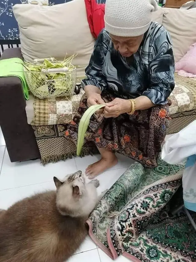 10 Potret Lucu Kucing Ikut Rayakan Lebaran, Sungkem dengan Donatur