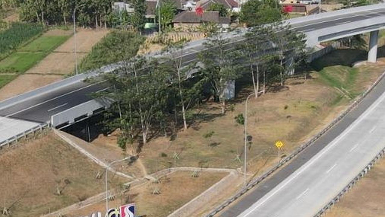 Tips Hindari Kecelakaan di Tol Solo-Ngawi saat Libur Natal dan Tahun Baru