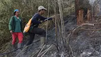 Hutan di Ranu Kembang Terbakar, Jalur Pendakian Gunung Semeru Ditutup Total