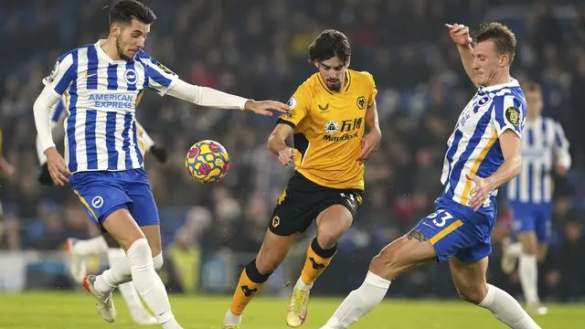 Brighton Vs Wolverhampton Wolves Liga Inggris