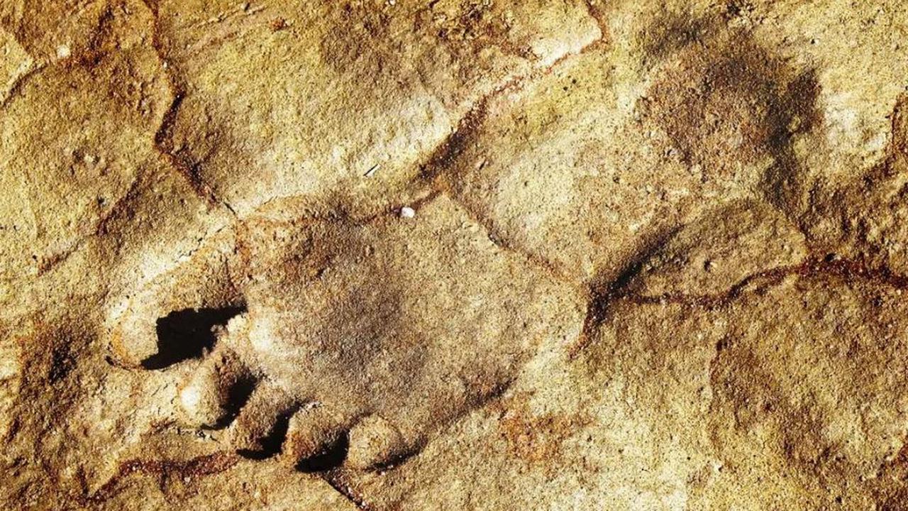 Arkeolog Kaget Temukan Jejak Kami Manusia Berusia 115.000 Tahun di Lokasi Tak Terduga Ini