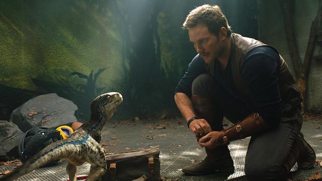 Get Wallpaper Hari Pertama Tayang Di Indonesia Jurassic World Fallen Kingdom For Free