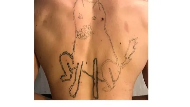 6 Tato Bentuk Kucing Ini Bentuknya Nyeleneh, Bikin Ngakak