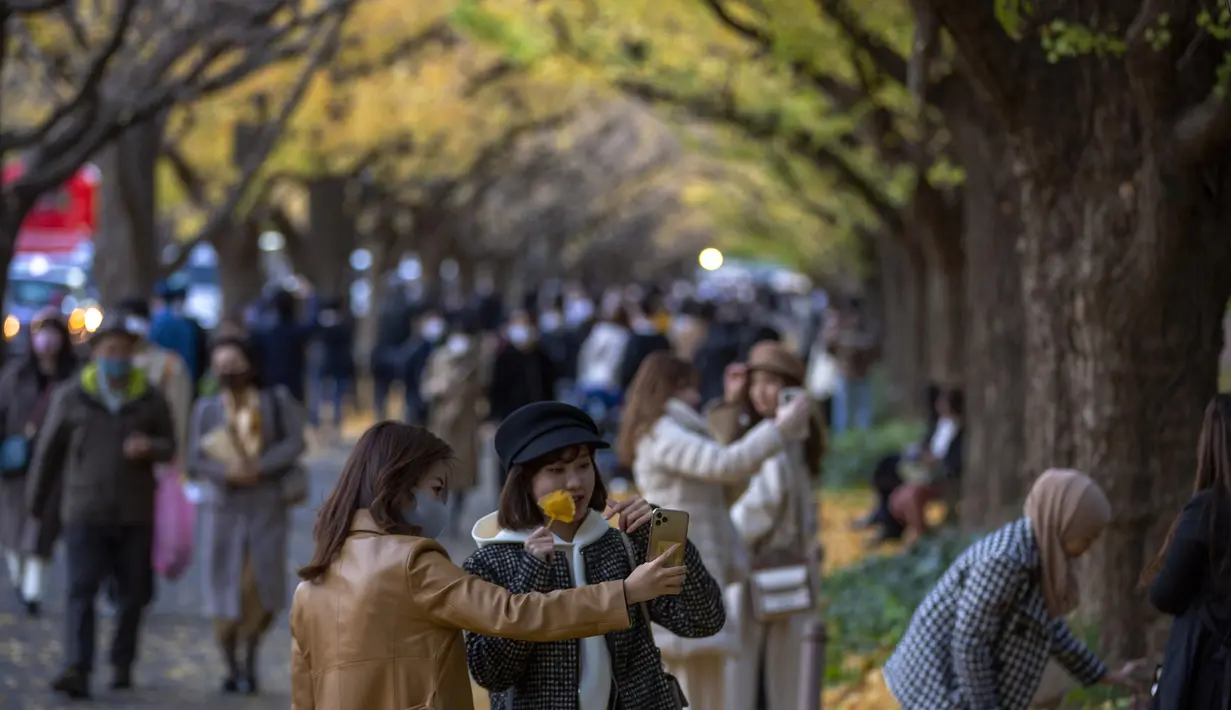 Orang-orang dengan mengenakan masker mengambil foto saat mereka berjalan melalui barisan pohon ginkgo saat pepohonan dan trotoar ditutupi dedaunan kuning cerah di sepanjang trotoar di Tokyo, Jepang pada 28 November 2020. (AP Photo/Kiichiro Sato)