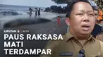 Bukan yang pertama kali terjadi, namun fenomena paus terdampar, selalu menggegerkan warga. Kali ini paus sperma ditemukan mati terdampar di pesisir pantai Kota Ternate. Bangkai paus juga menimbulkan bau menyengat.