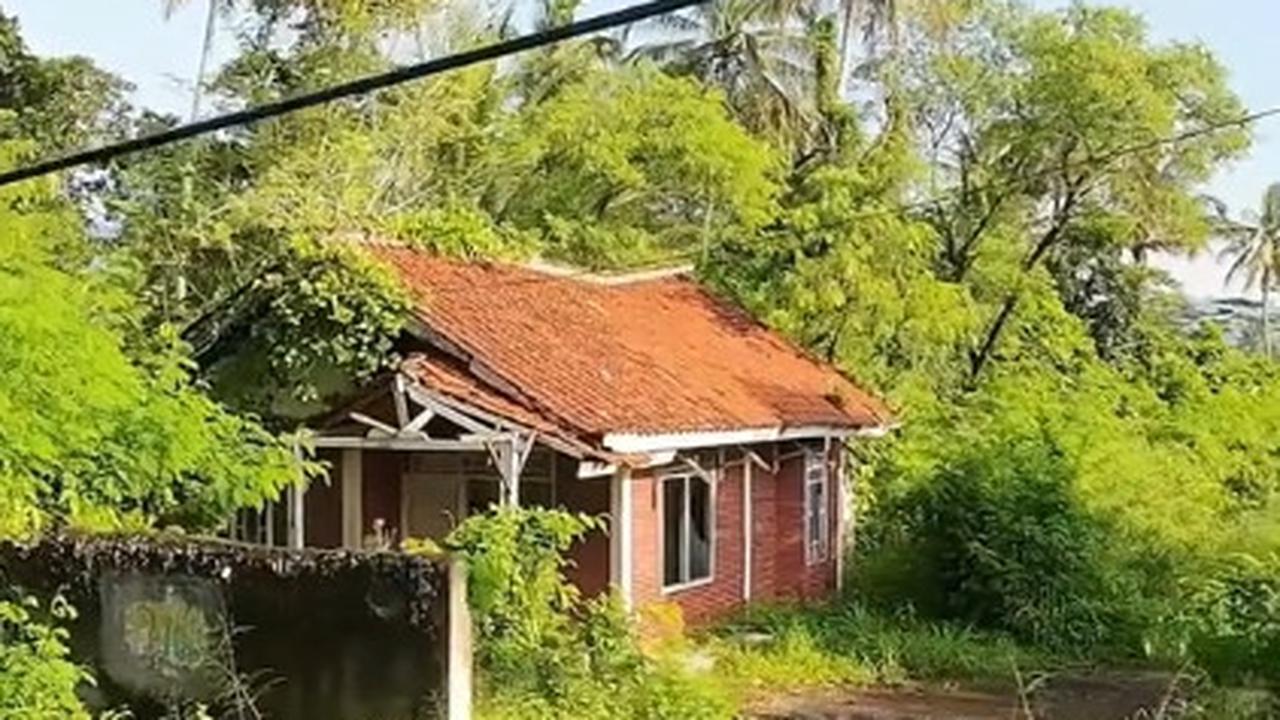 Pria Ini Temukan Rumah Terbengkalai di Tepi Jalanan, Penampakannya Bikin Ngeri