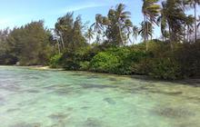 Mengunjungi Pulau Menjangan Kecil, Surga Bawah Laut di Kepulauan Karimunjawa