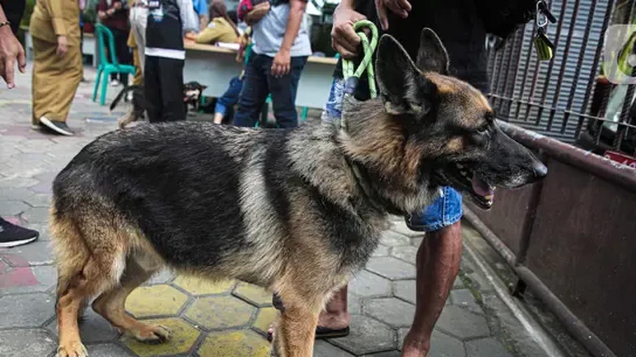 Menurut Herman, korban sempat dibawa ke Puskesmas Kempas, kemudian dirujuk ke RSUD Puri Husada. Namun sayang, nyawa korban tidak terselamatkan karena kondisinya semakin parah.