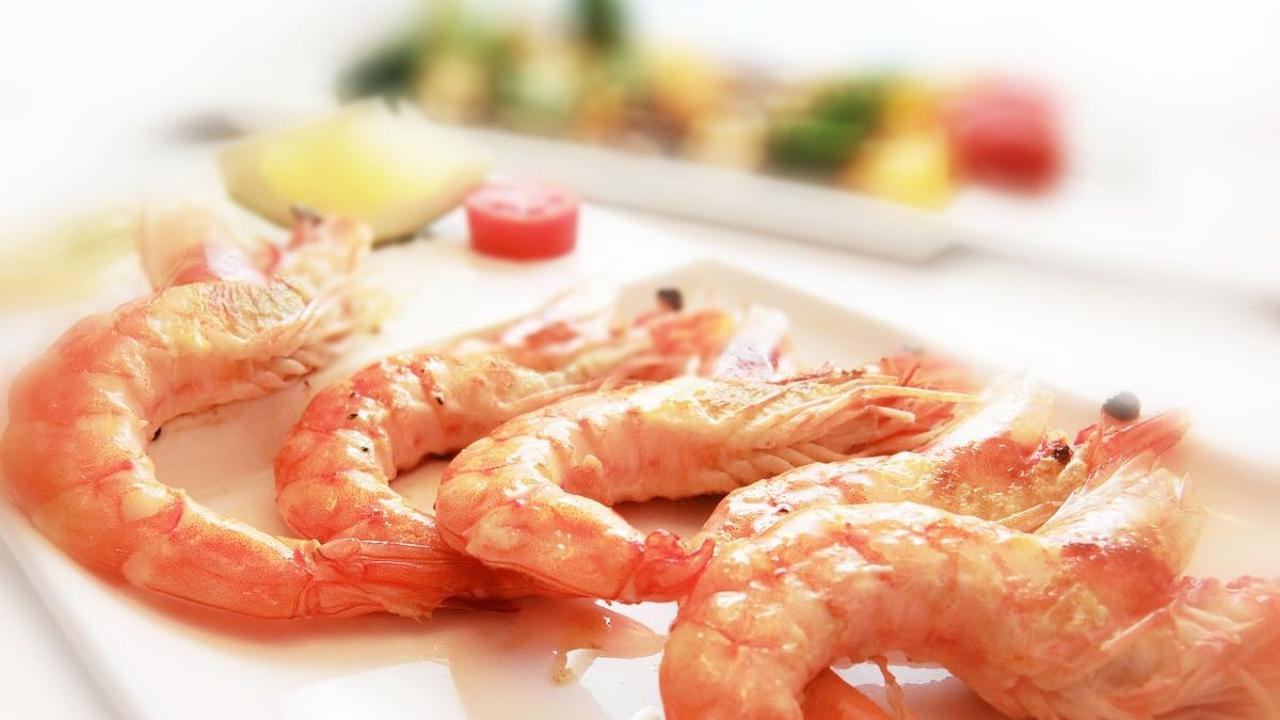Manfaat Kulit Udang untuk Kesehatan