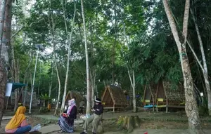 Pemanfaatan Hutan Berkelanjutan di Kaltim Hasilkan Nilai Ekonomi