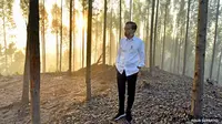 Presiden Joko Widodo atau Jokowi menikmati suasana hutan saat sunrise pada pagi hari setelah berkemah semalam di titik nol Ibu Kota Negara (IKN) Nusantara, Kecamatan Sepaku, Penajam Paser Utara, Kalimantan Timur, Selasa (15/3/2022). (FOTO: Setpres/Agus Suparto)
