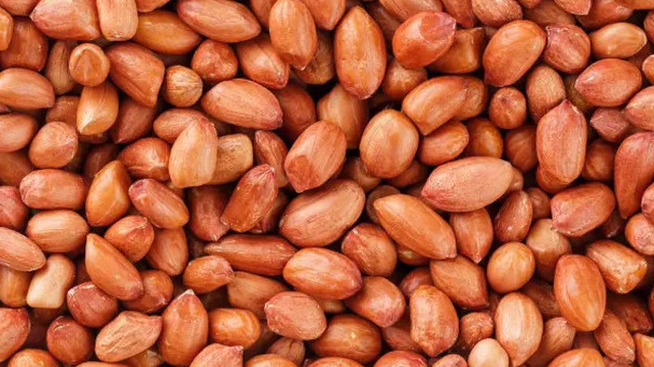 Cara Ampuh Buat Kacang Tanah Jadi Renyah, Wajib Dicoba
