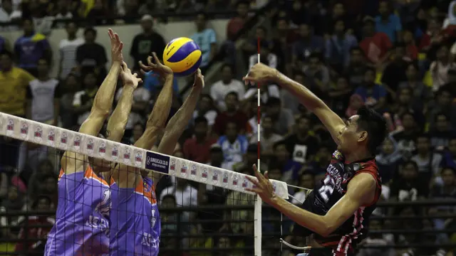 Proliga 2019