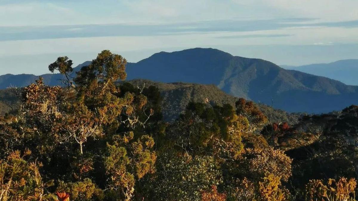 Mengungkap Keindahan dan Tantangan Mendaki Gunung Leuser