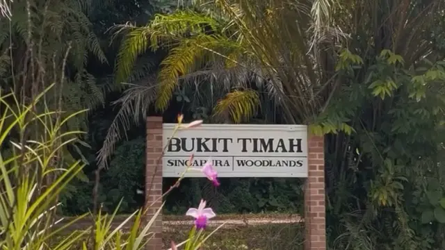 Bukit Timah di Singapura
