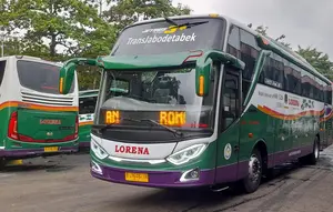 Cari Cuan Baru, Lorena Siap Masuk Bisnis Kargo