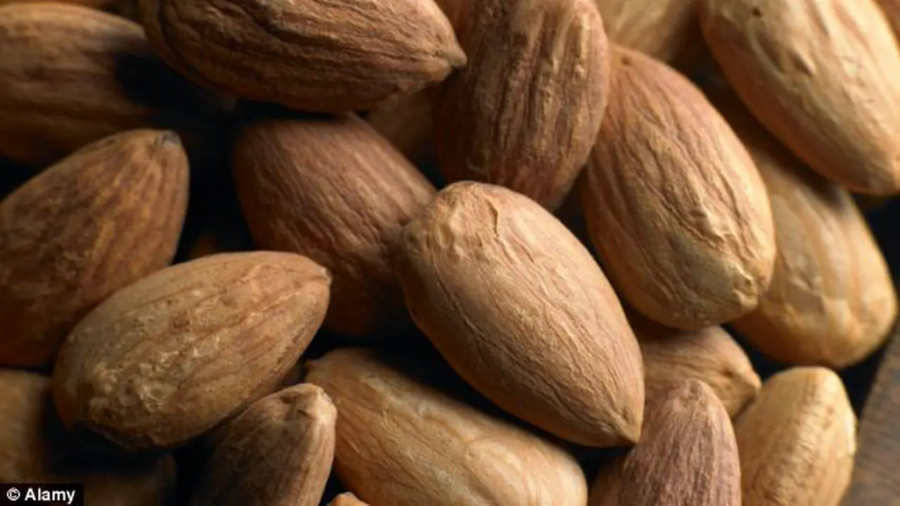 Kesimpulan Enam Studi, Almond Baik untuk Kesehatan