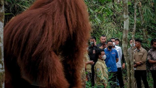 Kunjungan Sandiaga Uno ke Bukit Lawang, Kabupaten Langkat, Sumatra Utara.
