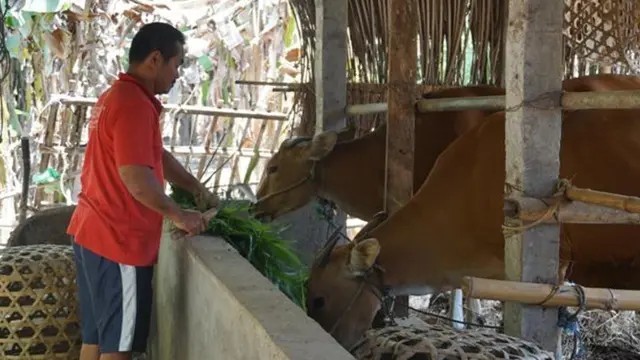 Desa Kolok Bengkala, Desa Bisu Tuli Penuh Inspirasi