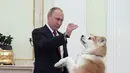 Presiden Rusia Vladimir Putin bermain dengan anjingnya yang bernama Yume di Kremlin di Moskow, Rusia (7/12). Menurut beberapa sumber Presiden Putin sudah sejak lama dikenal sebagai penyayang binatang. (Sputnik/Kremlin/Alexei Druzhinin via Reuters)