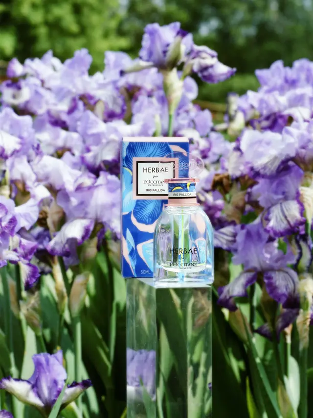 Desain Herbae Iris Pallida mewujudkan feminitas