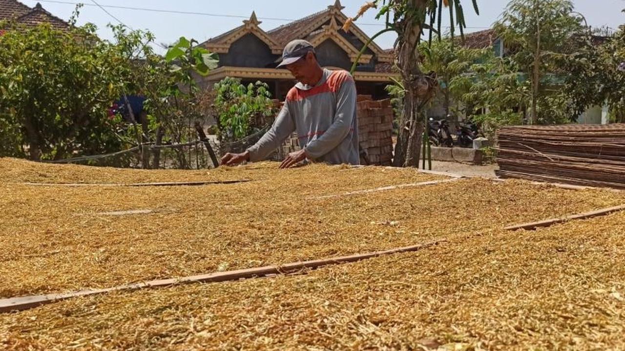 Gapero Soroti Dampak Kebijakan Larangan Bahan Tambahan Rokok Terhadap IHT Nasional