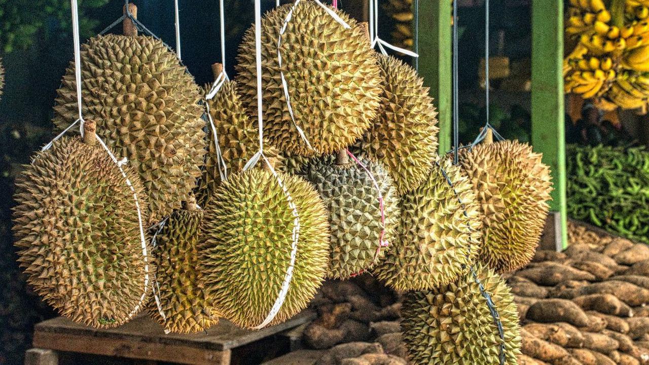 Tak Ingin Bergantung Impor, China Bakal Tanam Durian Sendiri