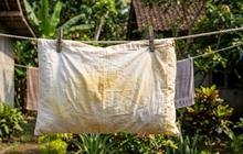 Cara Mudah Mengatasi Bantal Menguning, Hasil Lebih Bersih dan Tidak Mudah Bau Apek