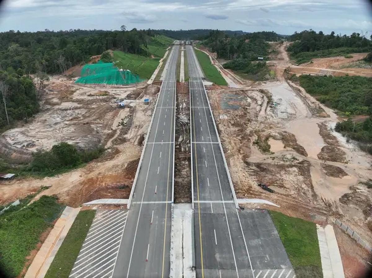 Di IKN Bakal Ada Jembatan Khusus Satwa